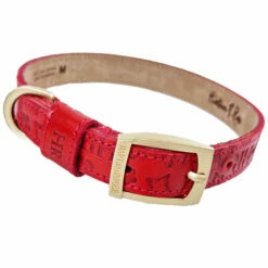 H&R Embossed Collar In Tomato Red -Pet Supplies Sales Shop Embossed Red 5 1367e080 a116 470f 9ee8 65e39d7f4fa3