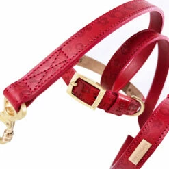 H&R Embossed Collar In Tomato Red -Pet Supplies Sales Shop Embossed Red 6 72a2e969 39c4 4768 ab0f ef93810f70b8