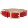 H&R Embossed Collar In Tomato Red -Pet Supplies Sales Shop Embossed Red 690418ce a494 4006 92eb 260369532ef0