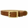 H&R Embossed Collar In Saddle 2 H&R Embossed Collar In Saddle -Pet Supplies Sales Shop Embossed Saddle 9a44d169 4777 42ff 86a5 18177663dbca