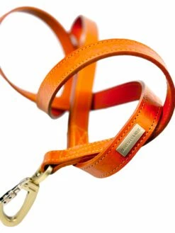 H&R Embossed Lead In Tangerine -Pet Supplies Sales Shop Embossed Tangerine 10 f7d31d8c 5312 4407 9f2c db3b38547849