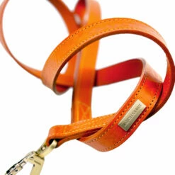 H&R Embossed Lead In Tangerine -Pet Supplies Sales Shop Embossed Tangerine 11 850058c6 2c70 406e b086 713be2d8a936