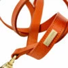 H&R Embossed Lead In Tangerine -Pet Supplies Sales Shop Embossed Tangerine 6 75bcd898 ea3d 43c7 8650 a7411f9ac135