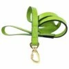 Imperial Lead In Lime Green & Gold 1 Imperial Lead In Lime Green & Gold -Pet Supplies Sales Shop Hartman Lead in Lime Green Gold 2f3f29fb be48 49eb a291 c6b4761bda85