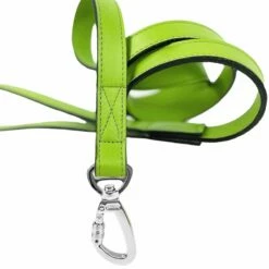 Imperial Lead In Lime Green & Nickel -Pet Supplies Sales Shop Imperial Lead Lime Green Nickel 14d75a20 7c04 4306 99df 92c02fc46e94
