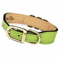 Imperial Collection In Lime Green, Peridot Crystals & Gold -Pet Supplies Sales Shop Imperial in Lime Green Peridot Gold Reverse ac81ecc2 ba1e 49d7 90b0 91ffebffca4d