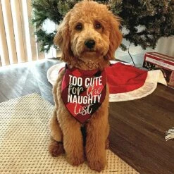 Too Cute For The Naughty List Christmas Dog Bandana -Pet Supplies Sales Shop NAUGHTYLISTDOGGIE 1 d9441649 773d 4f31 bd55 ee96183c7e96