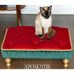 Frankie 8 Frankie -Pet Supplies Sales Shop P1080512PSLR