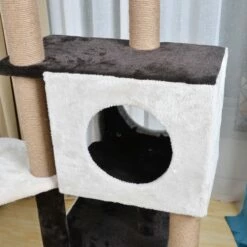 Felina -Pet Supplies Sales Shop PP19076 6 06