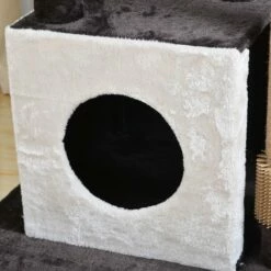 Felina -Pet Supplies Sales Shop PP19076 6 10