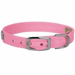 3 Row Giltmore 1/2" Cat Collar -Pet Supplies Sales Shop PerfectPink3RowGiltmore CatCollar BK