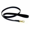 Au Naturale Lead In Black 3/4" -Pet Supplies Sales Shop PlainLeadinBlackOnyx Gold 2fabad36 5060 4d2a bc83 5f64d4b78dbc