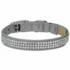 3 Row Giltmore 1/2" Cat Collar -Pet Supplies Sales Shop Platinum3RowGiltmore CatCollar FT