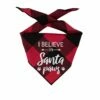 I Believe In Santa Paws Christmas Dog Bandana