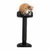SPHN-2 Sisal Pole With Cat Bed -Pet Supplies Sales Shop SPHNLUX 202d9a19 74c6 4a0a 9232 7f63fbe06ff7