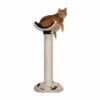 SPHP-2 Luxury Cat Perch -Pet Supplies Sales Shop SPHPLUX e3785c62 b6bf 4a34 9223 51135b92bc89
