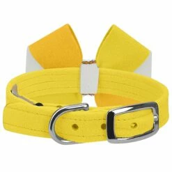 Piña Colada 1/2" Cat Collar -Pet Supplies Sales Shop Sunshine Cat Collar Pina Colada Pinwheel BK