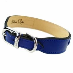 Italian Cobalt Blue Leather In Nickel -Pet Supplies Sales Shop after eight in cobalt blue nickel reverse 1 812006ea 9b30 46de 804b 9b1c724e3765