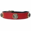 Au Naturale In Ferrari Red & Unakite -Pet Supplies Sales Shop au naturale in ferrari red unikite f5fd0b0a 71d3 4627 bd40 87935e6e4611