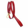 Au Naturale Lead In Ferrari Red 1 Au Naturale Lead In Ferrari Red -Pet Supplies Sales Shop au naturale lead in ferrari red gold f8faf9c1 47cd 42ee a2c9 a1fdf17e69d6