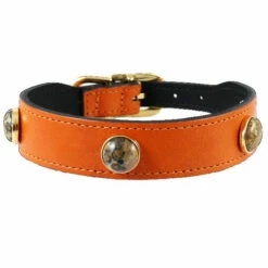 Au Naturale In Tangerine & Leopard Skin -Pet Supplies Sales Shop au naturale in t 4f31a8b6d1067 124e0c28 b560 45bd ba7c 342ccaed3562