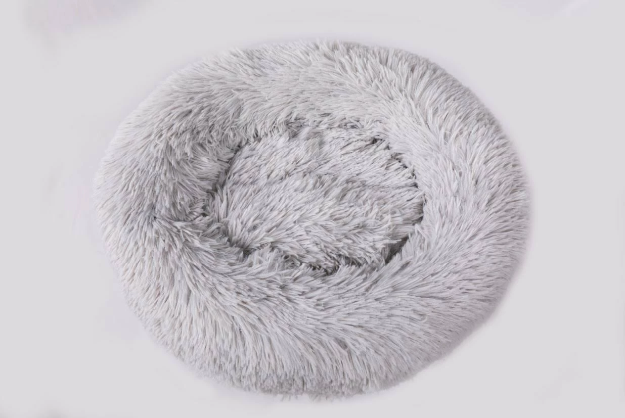 Bradbury 12 Bradbury - Image 10