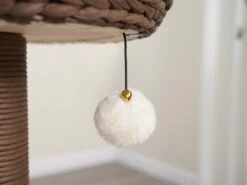 Quartz 15 Quartz -Pet Supplies Sales Shop cf9eda 08ebf54fe6634a83bd295c9aa17f70ae mv2 58bdee30 6427 4aa5 bb67 303d58df9946