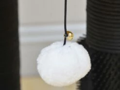 Zebra Perch 13 Zebra Perch -Pet Supplies Sales Shop cf9eda 12aa2084b20946638311fd90eb7c1434 mv2 d6ab795b df25 49ee 89c7 53e9efe7afd7