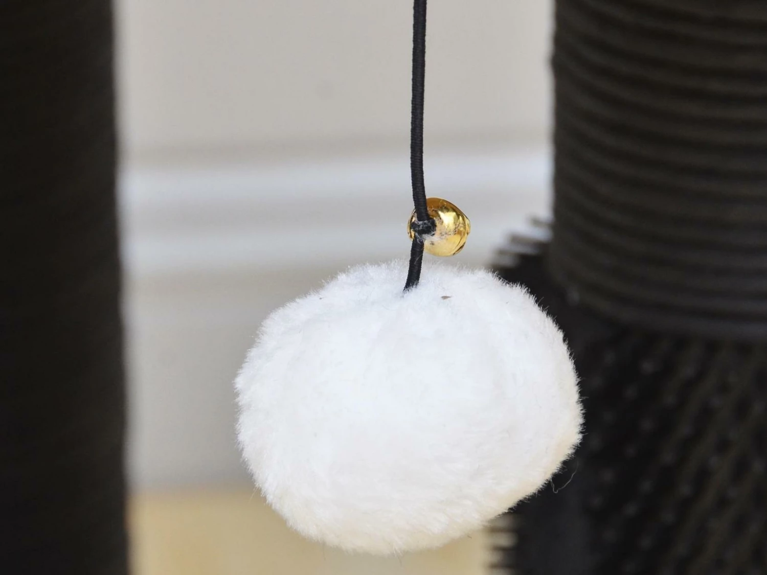 Zebra Perch 6 Zebra Perch - Image 4