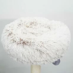 Cullen 18 Cullen -Pet Supplies Sales Shop cf9eda 18cc199f851142fbbc68abcdcb396b6b mv2 1e3419b7 e8de 4bf2 a2db 053aa29e7d5e