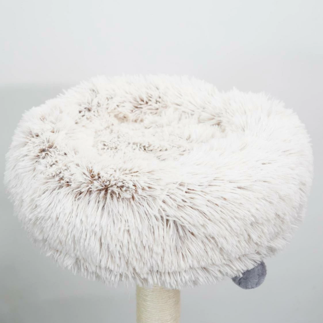 Cullen 7 Cullen - Image 5