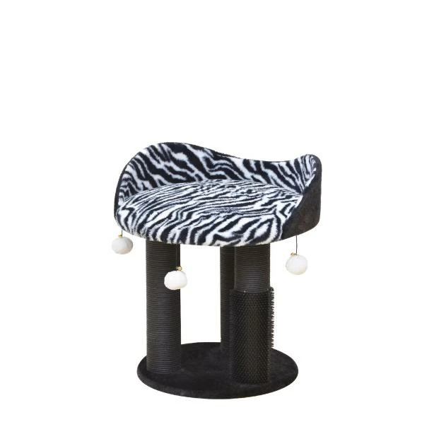 Zebra Perch 3 Zebra Perch