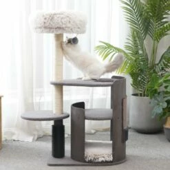 Cullen 16 Cullen -Pet Supplies Sales Shop cf9eda 73210c3d5cba446491ef2d393e320331 mv2 4c08577f 9d8f 404f 9b9f a1112c1f6484