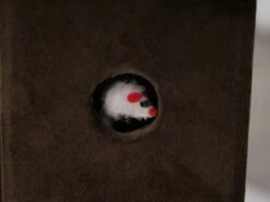 Zoso 15 Zoso -Pet Supplies Sales Shop cf9eda 8c11313f8d3540b88dc63aa559f95c0b mv2 63cd6574 247f 4b0a a0e9 694e82641e66