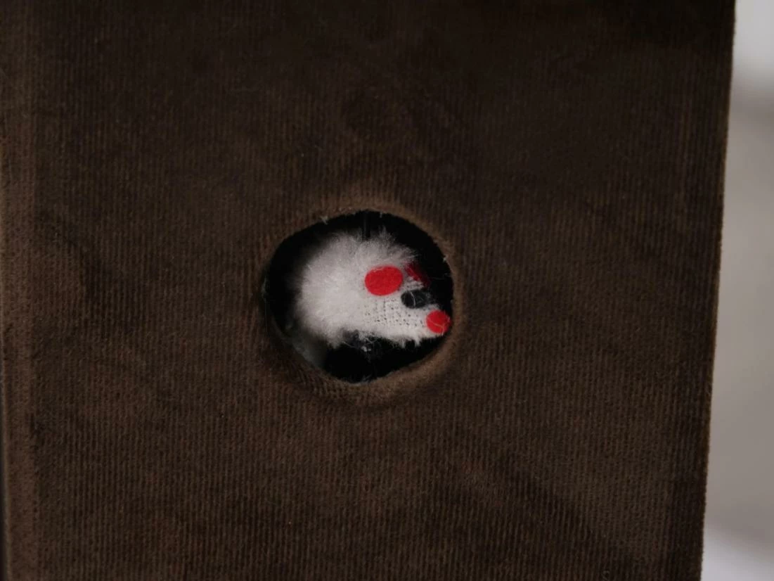 Zoso 8 Zoso - Image 6