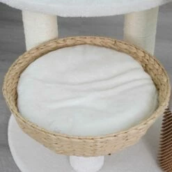 Pharaoh Two 12 Pharaoh Two -Pet Supplies Sales Shop cf9eda 8d729e81c13f4dcfbb7552a3d71e3efd mv2 c8a27cf1 f6c1 41bc 9595 6ba19f88f1f0