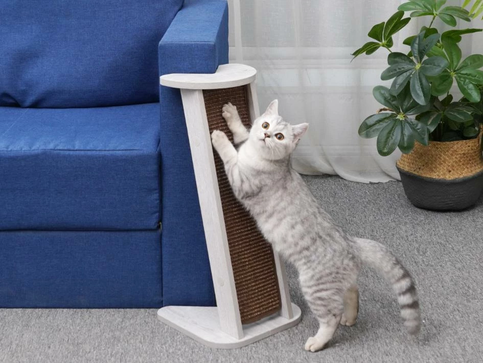 Wafer 9 Wafer - Image 7