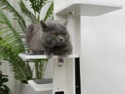 Modern Tower -Pet Supplies Sales Shop cf9eda 9eb0615ec32247b882e15a8f700c963a mv2 031b9fea f5cd 4c82 9e77 9f91085eb1a6