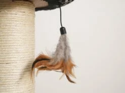 Ace -Pet Supplies Sales Shop cf9eda a17da10778f44d8ca2760347c082546e mv2 566c3a70 a9a1 4a2c a413 099c0ba06446