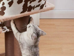 Cowboy 15 Cowboy -Pet Supplies Sales Shop cf9eda ab198971dc174bc6be8a433266f1c61a mv2 e4adebb9 e189 42b7 b009 ff65dd630e52