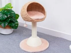 Lookout -Pet Supplies Sales Shop cf9eda bdf1ba08ac9e4d8d96d642fcbdf287a7 mv2 c7f41b20 37c5 4c6d a624 954bcefc922d