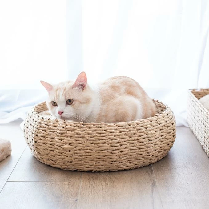 Cozy Nest 4 Cozy Nest - Image 2