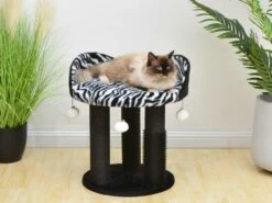 Zebra Perch 16 Zebra Perch -Pet Supplies Sales Shop cf9eda d2a1d66ca9cb4c0eaf546a5910925aec mv2 7b402358 dc3c 45a6 8ae1 c90ca35b2eea