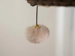 Pharaoh -Pet Supplies Sales Shop cf9eda d41e62fce9d2497499531001e3e8e27d mv2 2cc5c873 d817 440e b655 801577b382f5