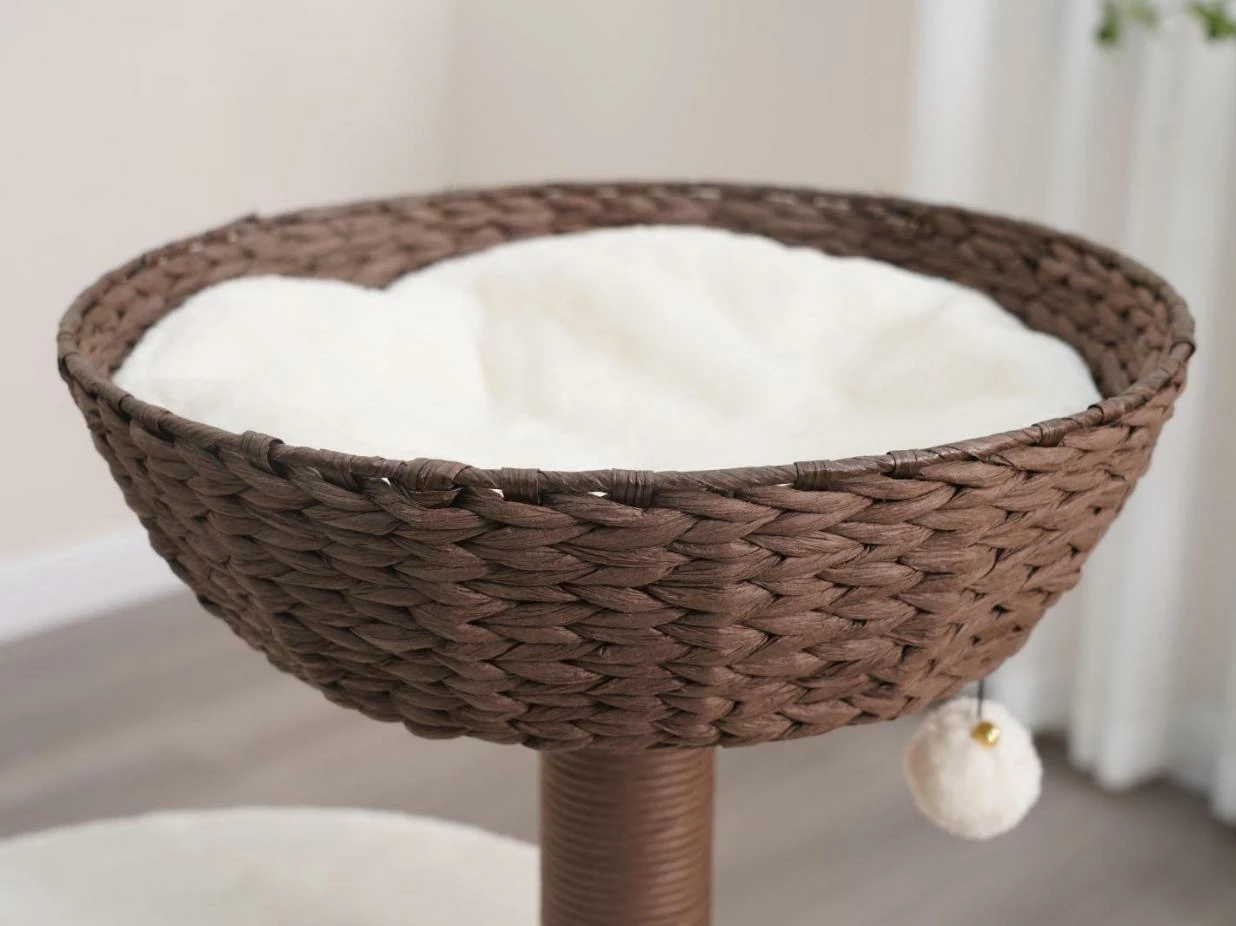 Quartz 5 Quartz - Image 3