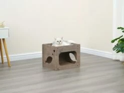 Jodie -Pet Supplies Sales Shop cf9eda e4fe31e3a4ca4c55961597c03aaea6ef mv2 eb105b0e 8170 4bfb 84d4 192eeb2937bf