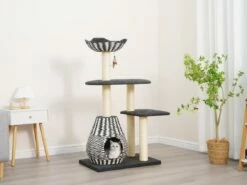 Ace -Pet Supplies Sales Shop cf9eda e6fba269c5dd4f3a806daca5e30d952a mv2 d2ecec4f 58f7 4b4b b2cc 887e94e69a92