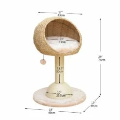 Lookout -Pet Supplies Sales Shop cf9eda e916fc34ddc143b0993f9ec6c66dce57 mv2 cbddb198 9e2f 4151 a18b e0a820abc269