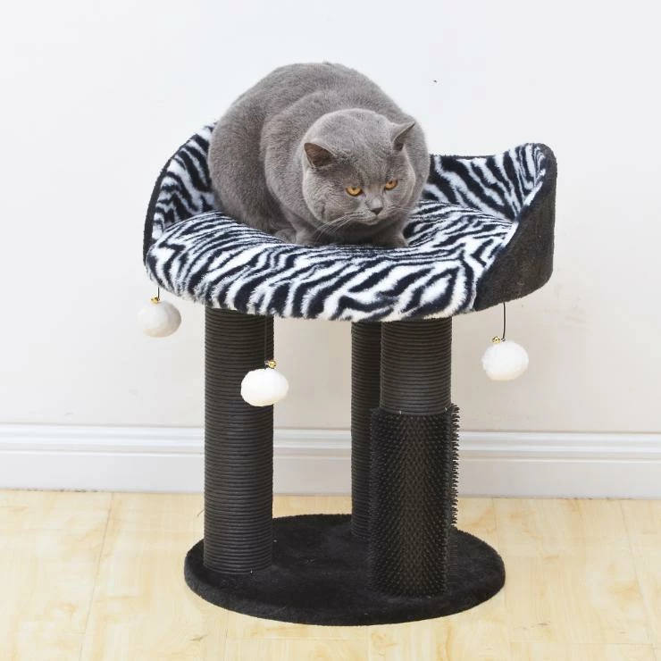 Zebra Perch 4 Zebra Perch - Image 2