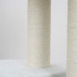 Pharaoh Two 13 Pharaoh Two -Pet Supplies Sales Shop cf9eda ed17b4e19e0f419fa18ac43a8db4e4e9 mv2 3c25d279 0868 4f19 973b 536bcc905c1c